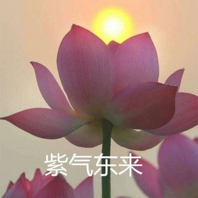 网联中国 | 科技之笔“慧”春耕